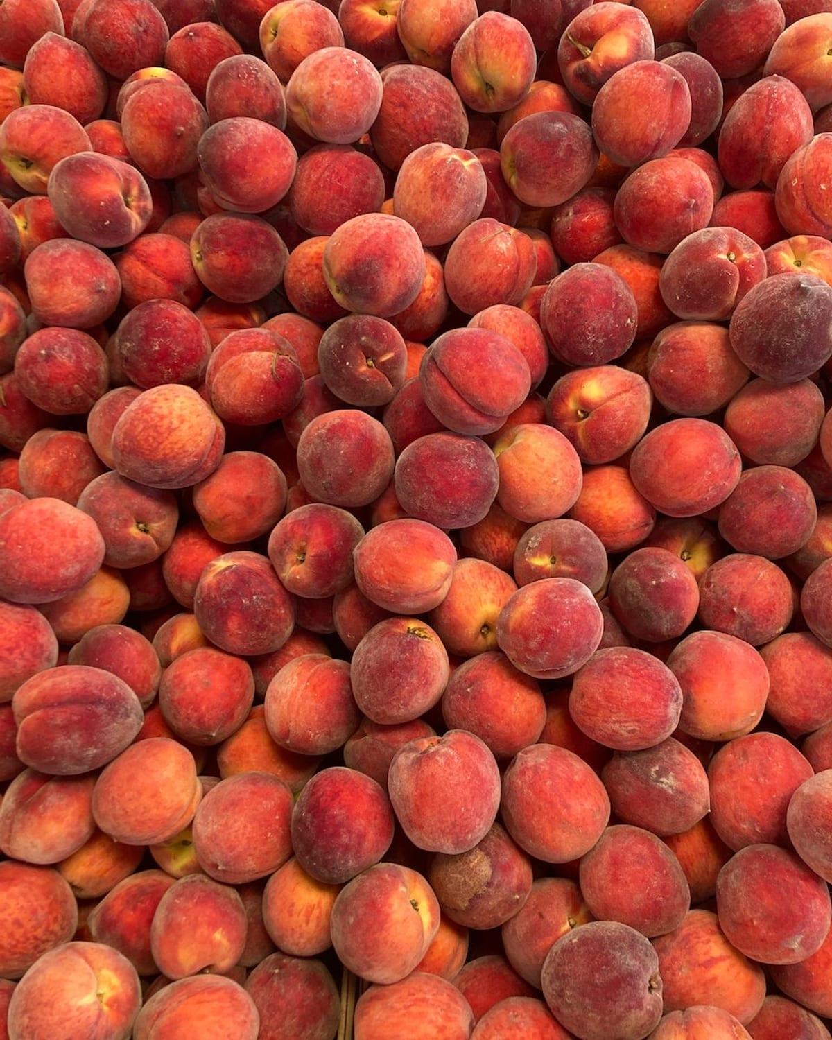Fruit Monomeal