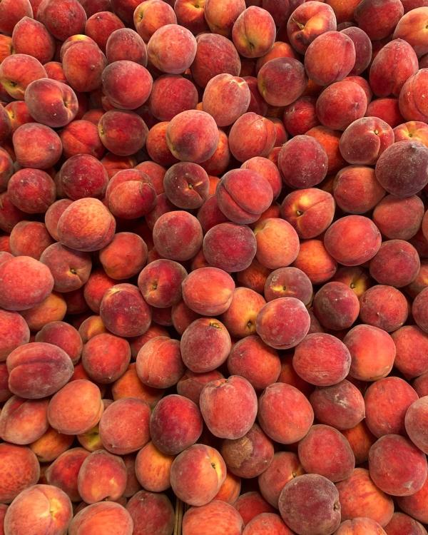 Fruit Monomeal